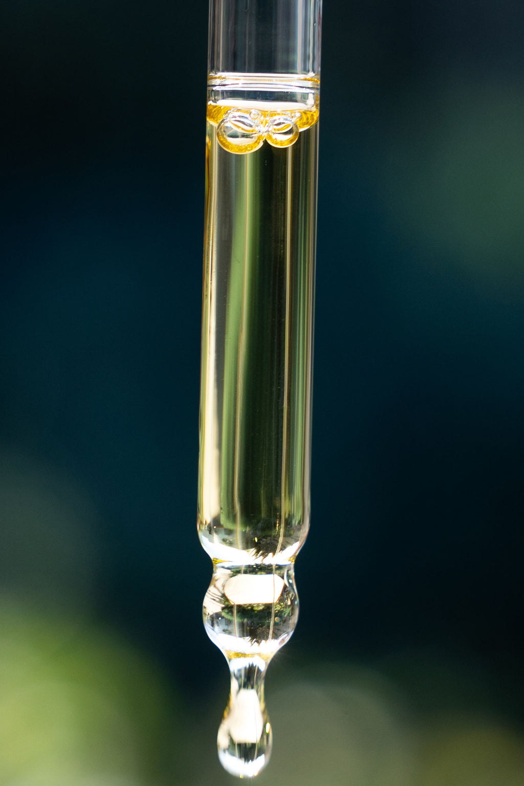 Cleansing Oil